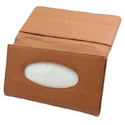 Sun Visor Tissue Box With tissues